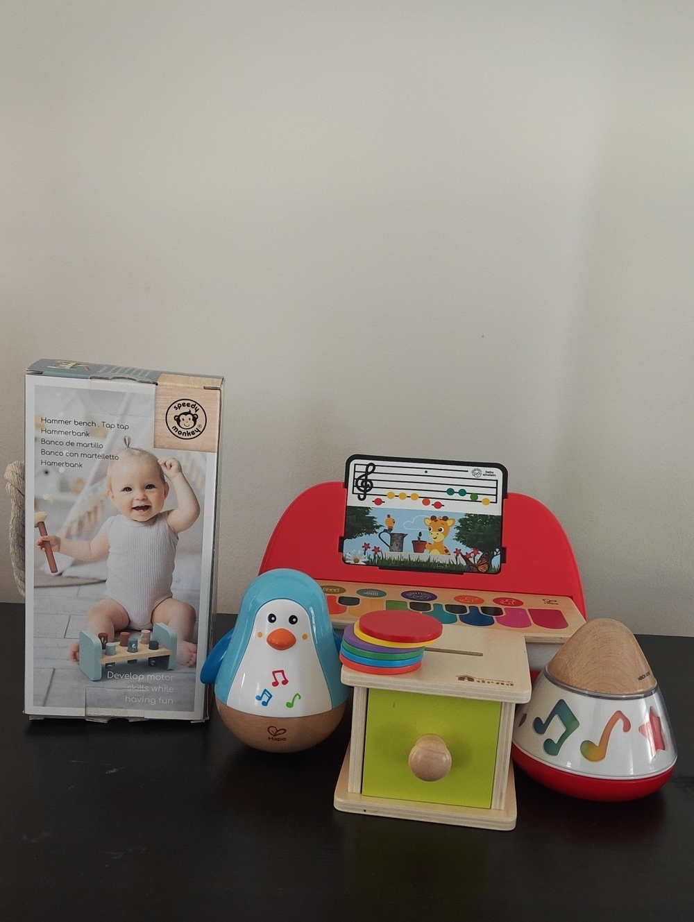 Baby Montessori Toy Set